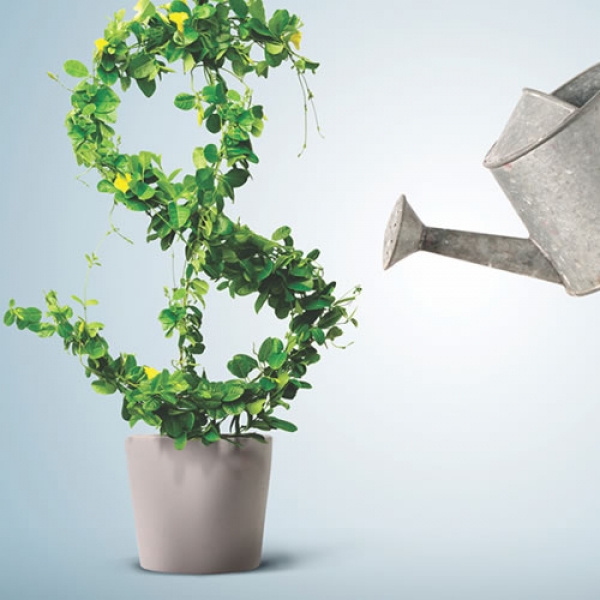 MPEs irão investir para elevar as vendas